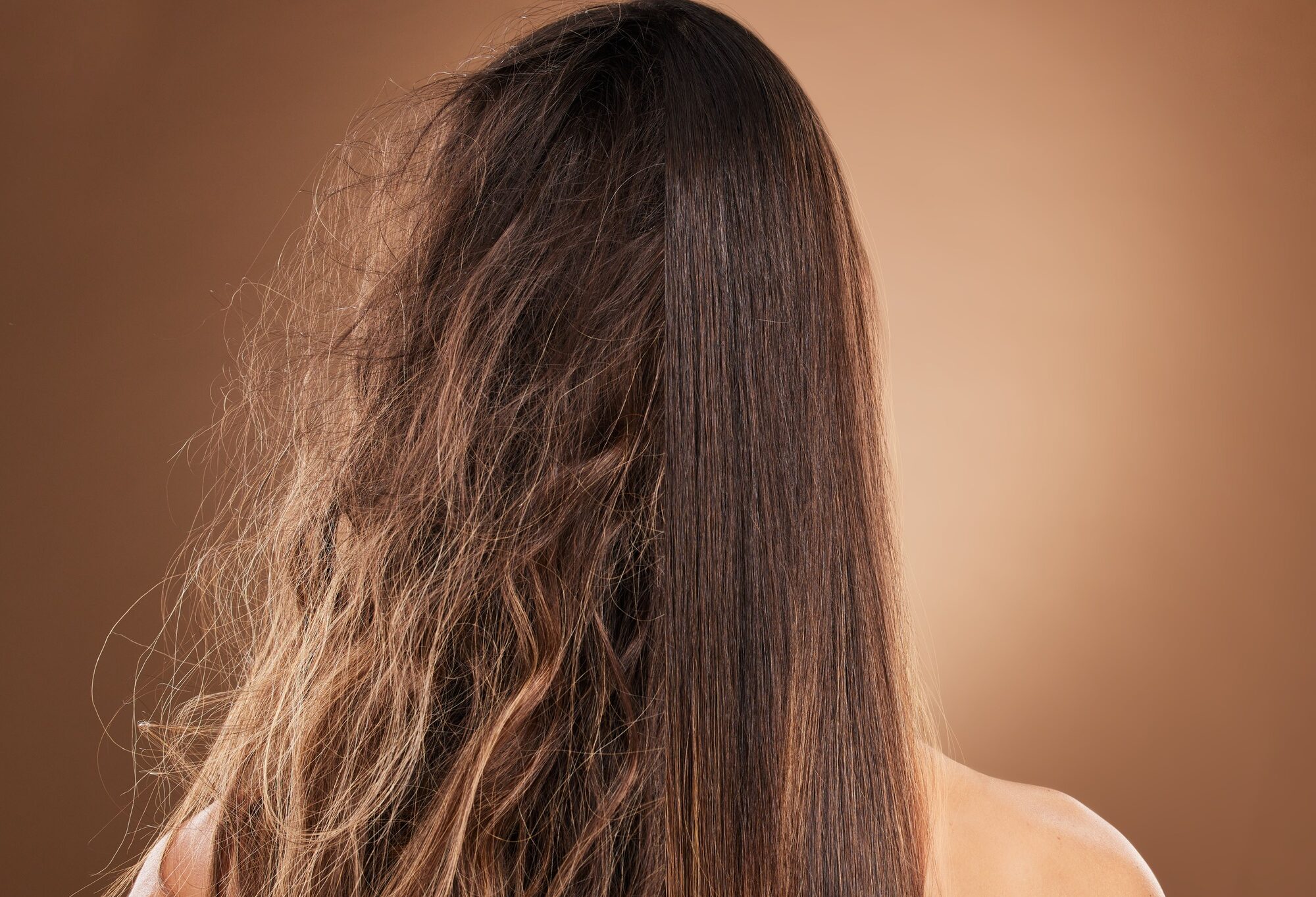 Frizz, heat damage and hair of a woman isolated on a brown background in a studio. Back, salon trea